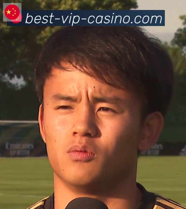 维尼修斯